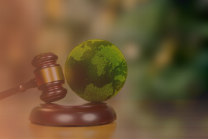 Responsabilidad medioambiental: obligaciones legales tras la Ley de Cambio Climático